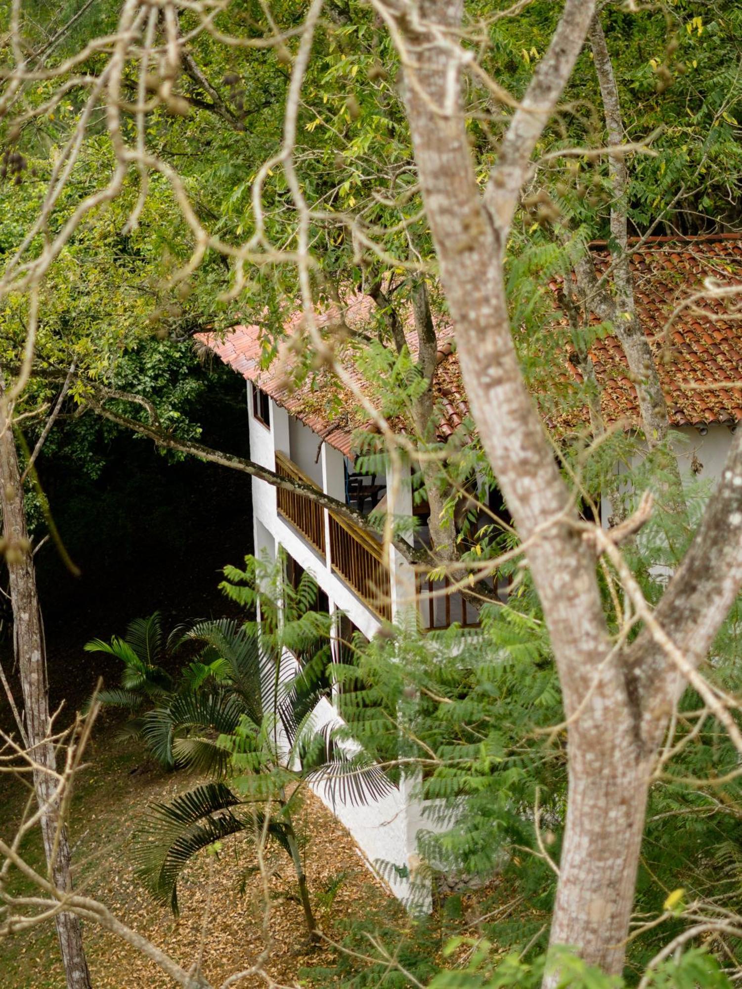 فندق Casa Olonche المظهر الخارجي الصورة